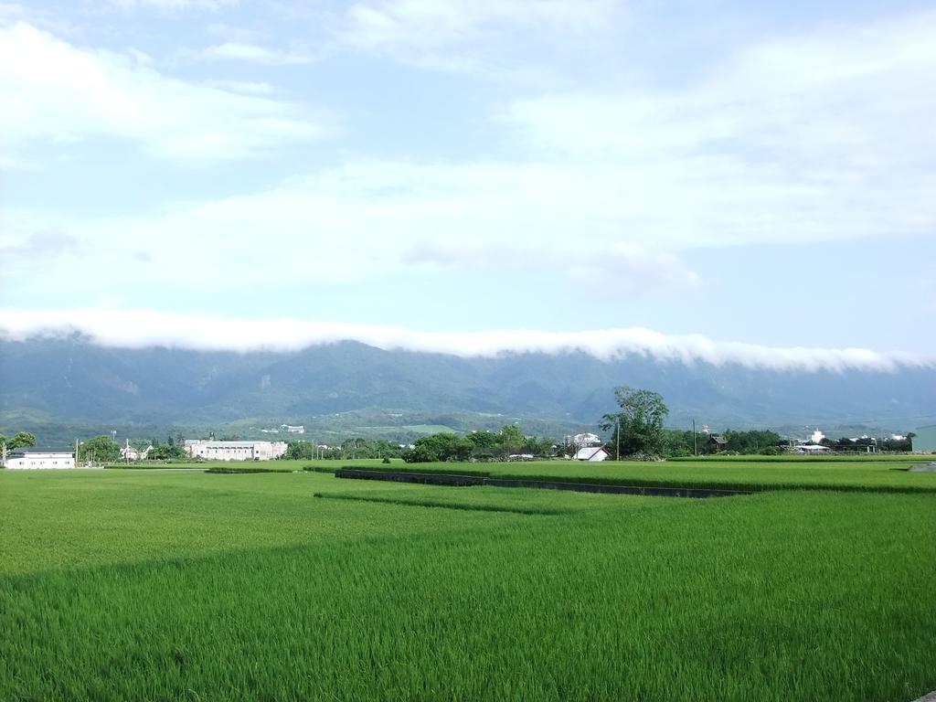 池上福吉園素食民宿 臺東縣民宿073號 請勿透過阿勾達訂房 Exteriör bild